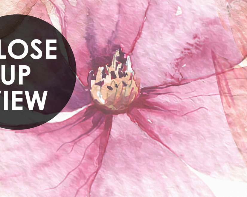 Papier peint panoramique floral rose pivoine