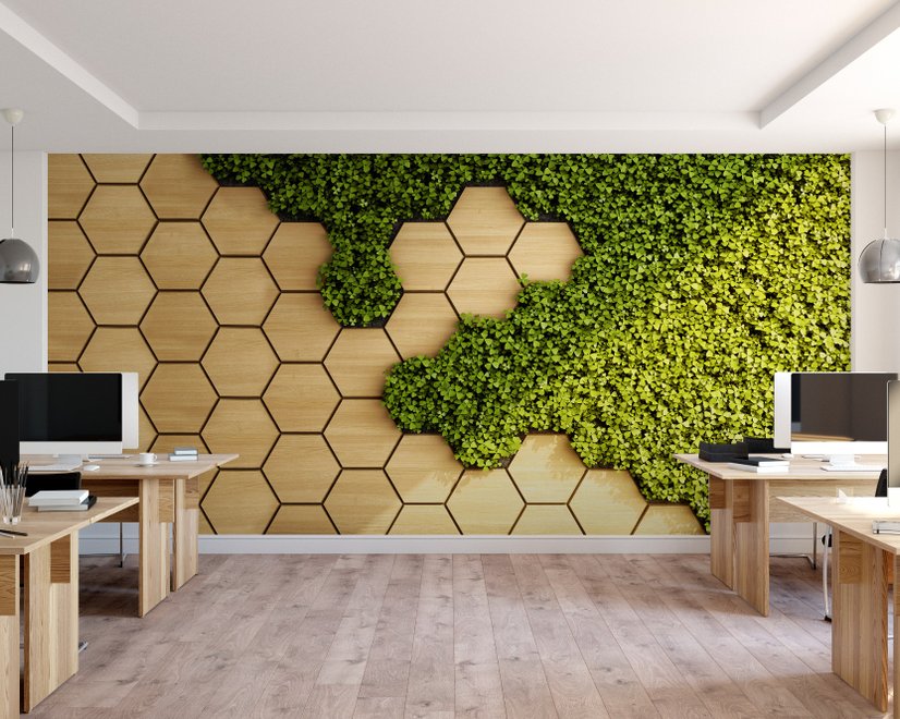 papier peint panoramique en nid d'abeilles et herbe fraîche, aspect 3D