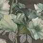 Papier peint panoramique de la feuille de lotus