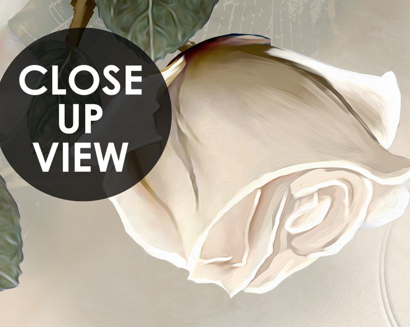 Beautiful White Roses and Butterflies Wallpaper Mural