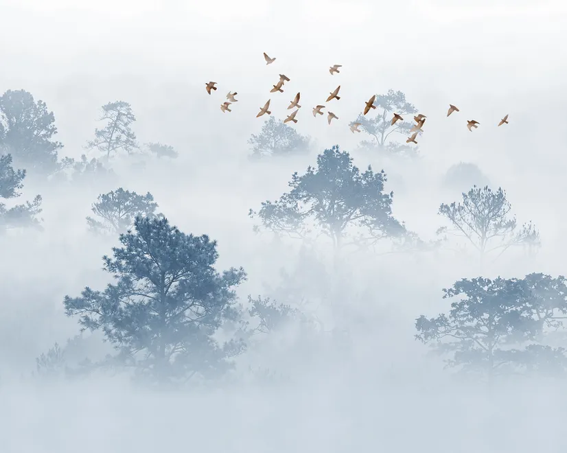 Nebeliger Wald mit Vögeln Fototapete
