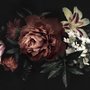 Papier peint panoramique avec pivoines et lys rouges