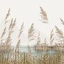 Meadow with Lake Landscape Wallpaper Mural
