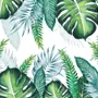 Tropical Palm Leaf Wallpaper Mural