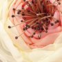 Soft Bloom Lace Bird Wallpaper Mural