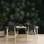 Pine Forest Aerial View Wallpaper Mural