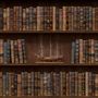 Vintage Library Wallpaper Mural