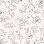 Mohnblumen Zeichnung Florale Fototapete