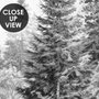 Monochrome forest with fog wallpaper mural showing tall pine trees, firs and silver-grey mist