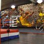 Sport Basketball Player Wallpaper Mural