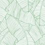 Abstract Lines Palm Leaves Wallpaper Mural