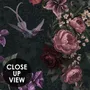 Dark Leopard Floral Garden Botanical Wallpaper Mural