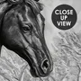 3D Embossed Look Horses Wallpaper Mural