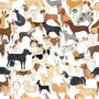 Zoomie kids wallpaper with painted dog breeds in tan, brown, black and grey on white