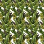 Grüne Bananenblätter Fototapete
