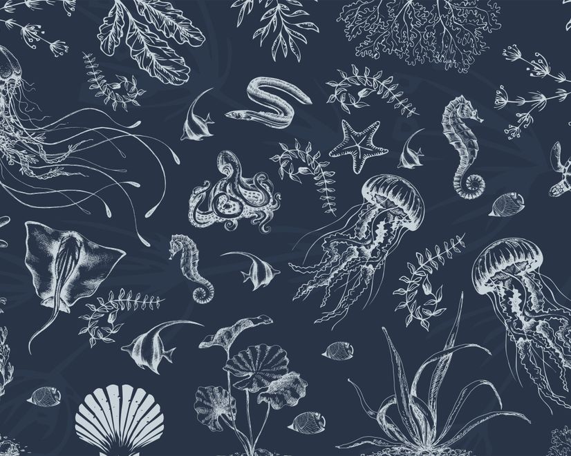 Sea Life Drawing Art Underwater Wallpaper Mural