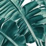 Fototapete mit tropischen Palmblättern