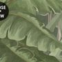 Rainforest Nature Tree Landscape Wallpaper Mural