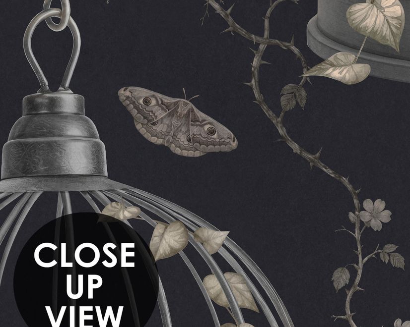 Dark Romantic  Gothic Skull Cage Wallpaper Mural 