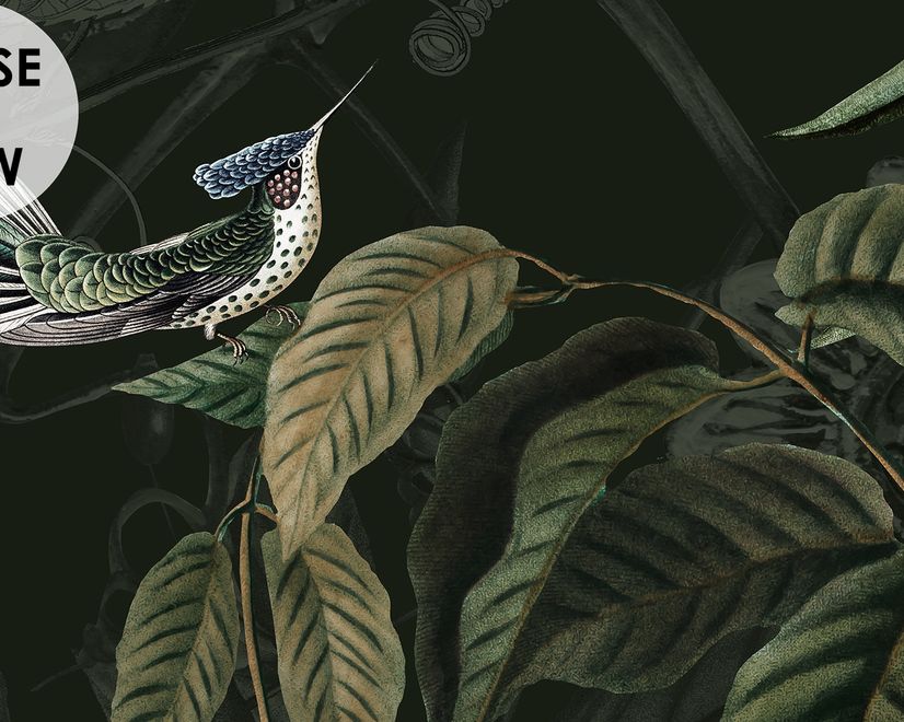 Dark Botanical Plants with Animals Wallpaper Mural