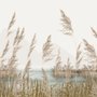 Fototapete Wiese mit Seelandschaft