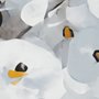Watercolor Painting White Flowers Wallpaper Mural