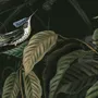 Dark Botanical Plants with Animals Wallpaper Mural