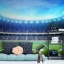Football Sport Stadium Wallpaper Mural