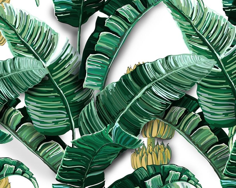 Watercolor Banana Leaf Pattern Wallpaper Mural