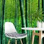 Bamboo Forest Wallpaper Mural