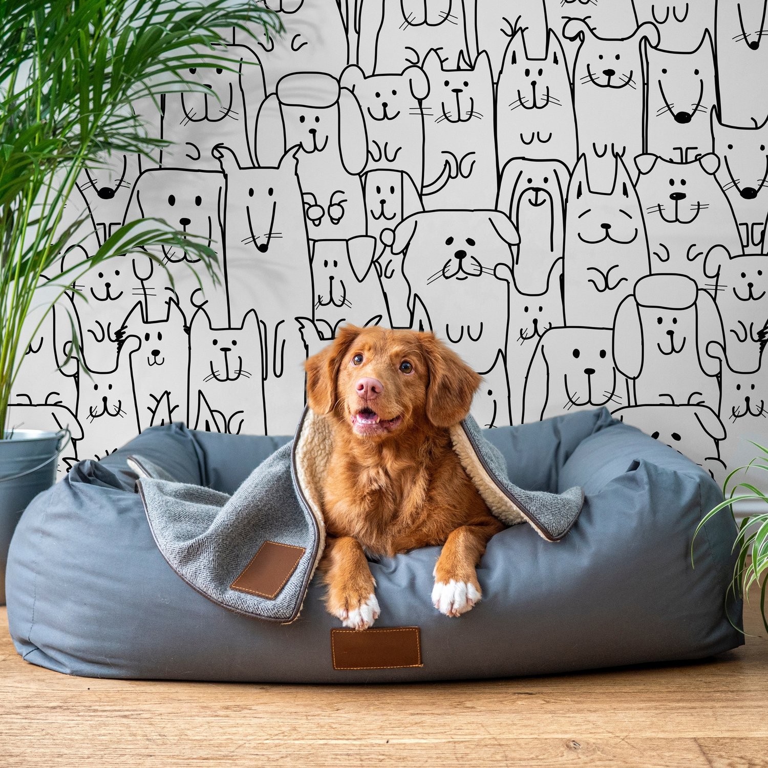 Cute Dog Face Pattern for Kids Wallpaper Mural - Peel and Stick