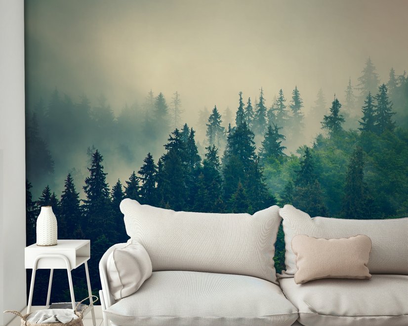 Misty Pine Forest Fototapete