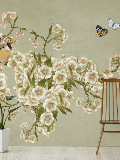 Cream Begonia Blossom Floral Art Wallpaper Mural