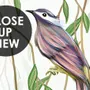 Green Hanging Leaves with Colorful Birds Wallpaper Mural