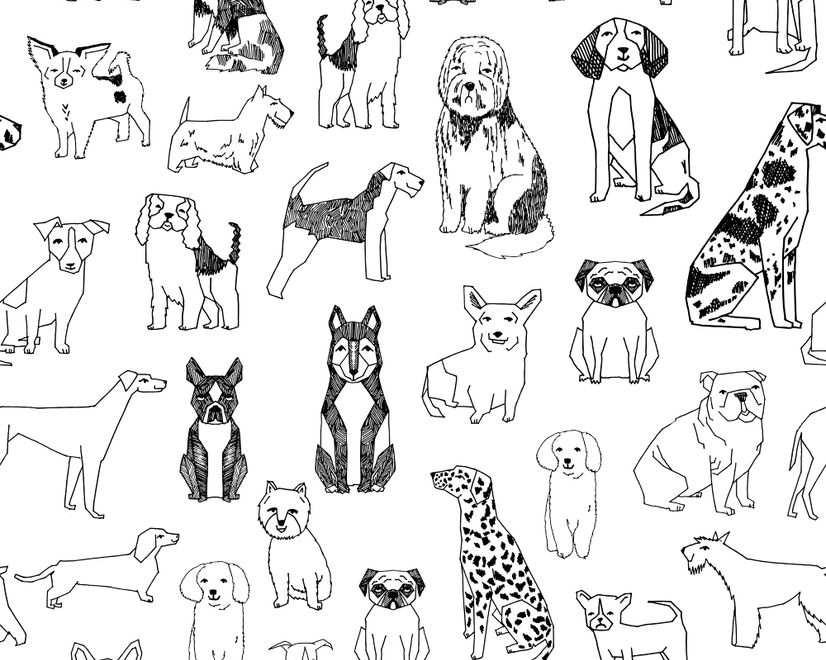 Kids Cartoon Cute Dog Family Wallpaper Mural