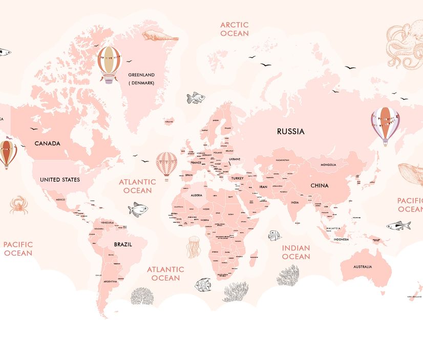 Kids Girls Cartoon Pink World Map Wallpaper Mural