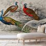 Historical Vintage Peacock Art Wallpaper Mural