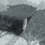 Light gray wallpaper mural with misty forest trees, falling leaves and birds