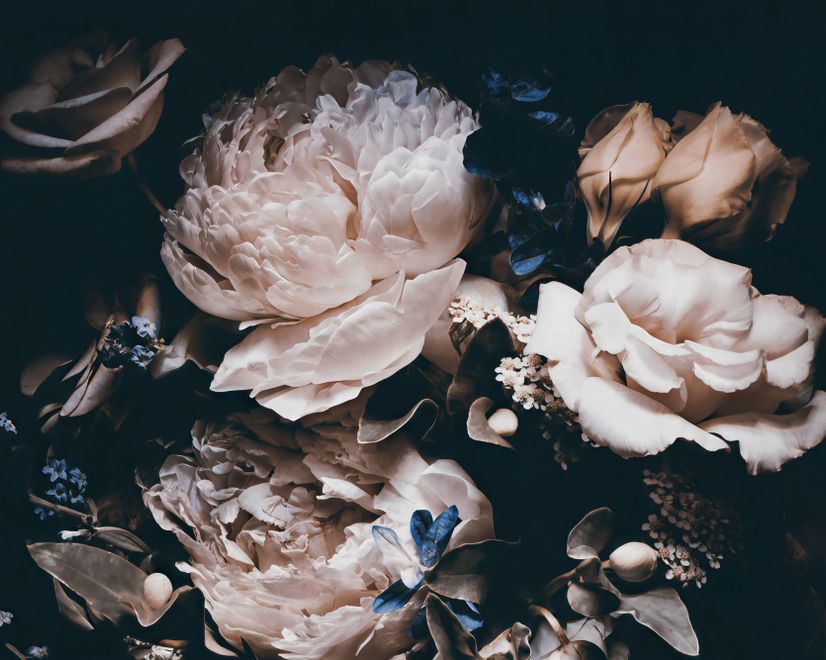 Dark Floral Peony Bouquet Wallpaper Mural