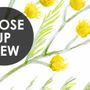 Yellow Herbs Floral Wallpaper Mural