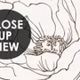 Poppy Drawing Floral Wallpaper Mural