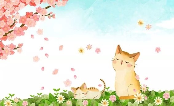Fototapete Kirschblüten und Cartoon-Katzen