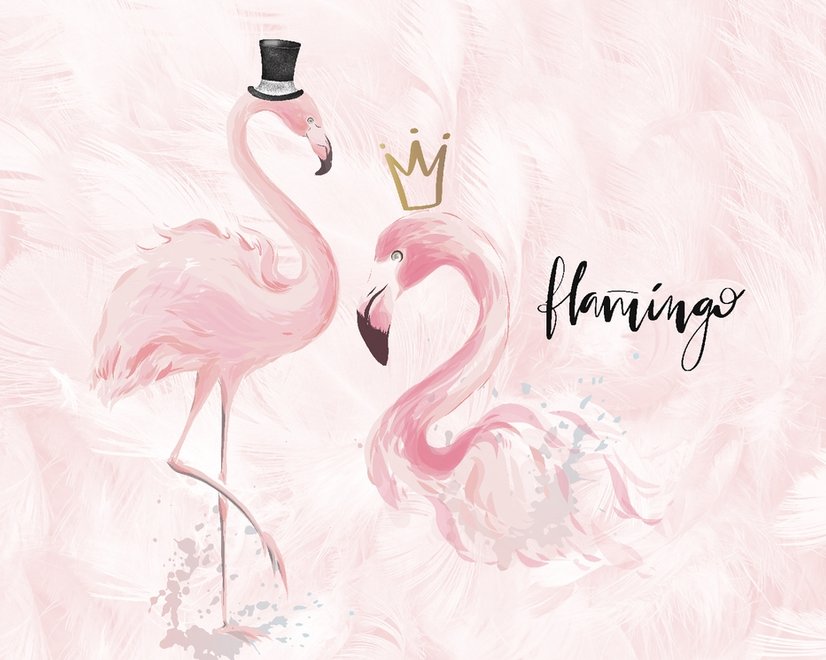 Powder Pink Flamingo Wallpaper Mural