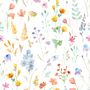 Watercolor Colorful Botanical Wild Flower Wallpaper Mural
