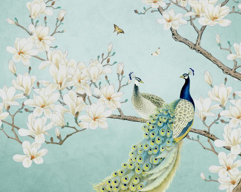 Peacock with Magnolia Blossom Wallpaper Mural