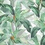 Papier peint panoramique  tropical en feuilles de bananier