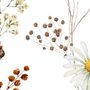 Papier peint panoramique aquarelle douce fleurs sauvages
