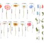 Colorful Wildflowers Wall Decal Sticker