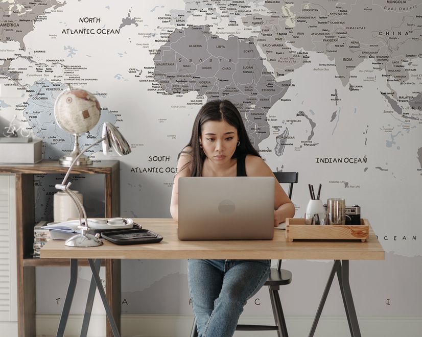 White Political Map Wallpaper Mural