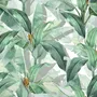 Banana Leaf Wallpaper Wallpaper Mural